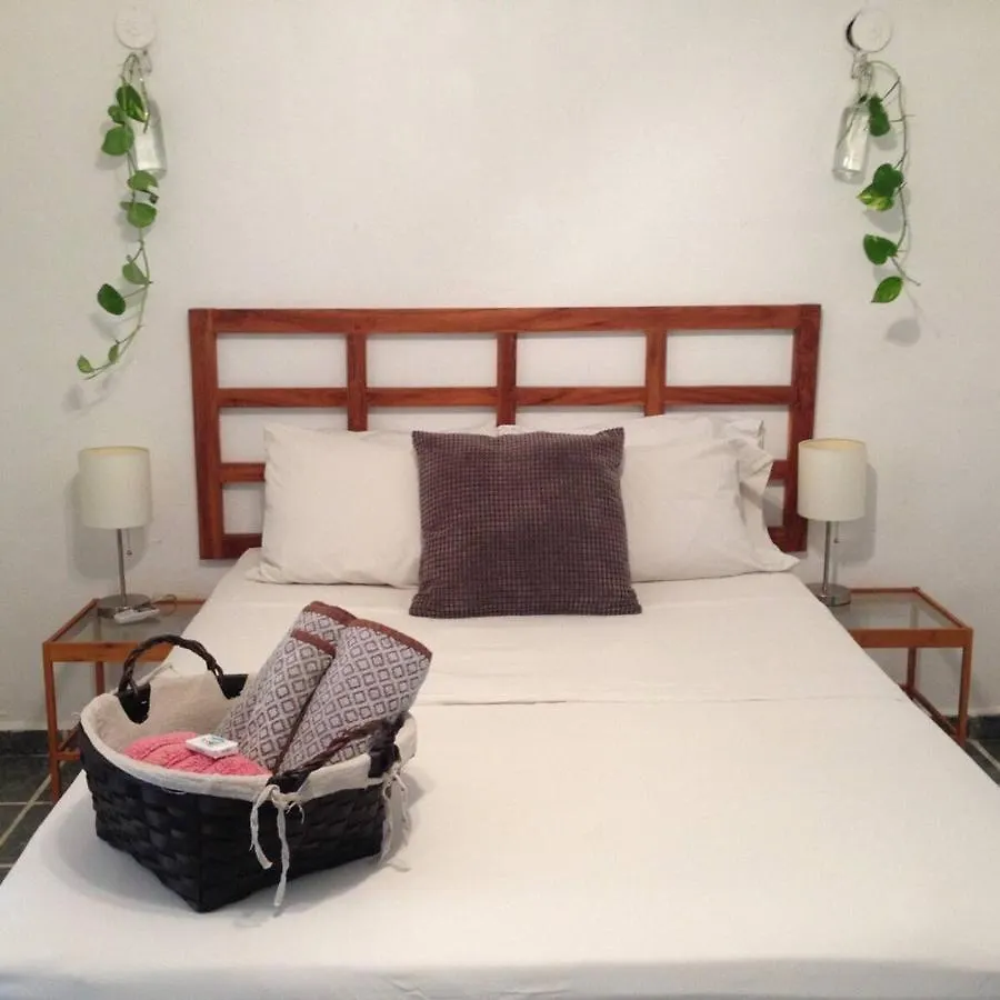 Casa De Hojas Apartman Playa del Carmen Mexikó